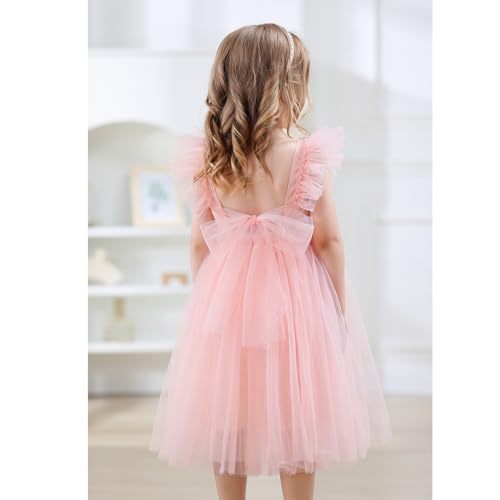 Tutu.kk Toddler Girls Vintage Party Dress Ruffled Sleeve A-Line Tulle Flower Girl Dresses for Wedding,Birthday3