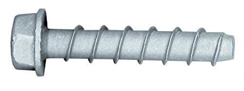 Parco Vis à béton 6 x 60 mm - 100 pièces - Jeu de vis à tête hexagonale, en acier galvanisé avec rondelle pour maçonnerie - Vis à béton avec homologation ETA et résistantes aux intempéries - Vis à