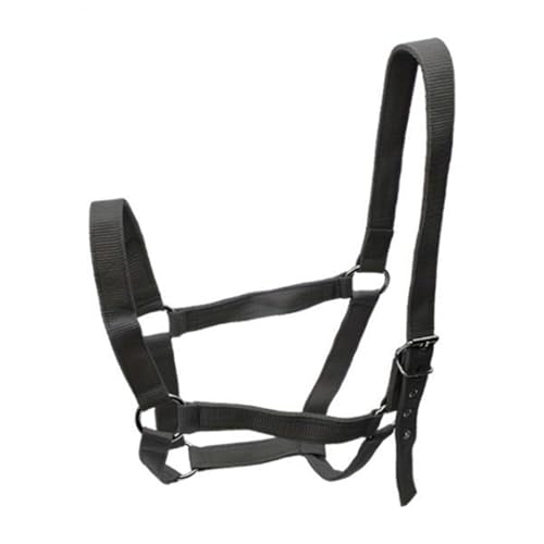 Licol pour chevaux licou sangle PP pratique l'équitation