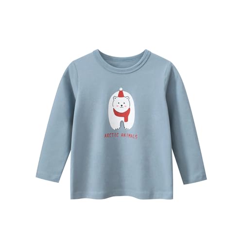 Toddler Baby Girls Cartoon Graphic Blouses T-Shirt Soft Creneck Cotton Long Sleeve Tee Tops for Little Kids (Blue,100/2-3 Y,Unisex,Big Kid,US,Age,2 Years,3 Years)