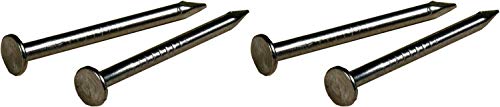 The Hillman Group 122530 Stainless Steel Wire Nail Pack of 2