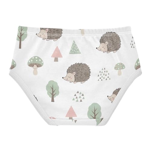 Fun Toddlers Underwear Floral 2t Cotton Little Girl Panties Cute Hedgehogs Forest White Kids Undies Briefs2