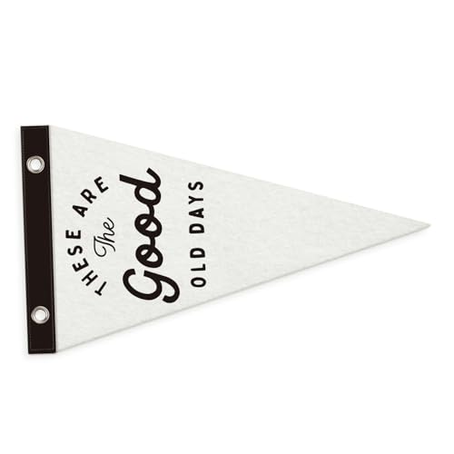 MOFUYU Inspirational Wall Decor Pennant Banners Flags,These Are The Good Old Days Sign,Positive Home Hanging Wall Felt Banner for Home,Kids Boys Room, Nursery Bedroom Playroom 7.4x14 Inch
