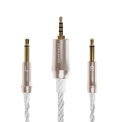 MEZE AUDIO | 99 Series Silver Plated Upgrade Balanced 2.5mm Jack | Headphones HiFi Replacement 2.5mm Male to Dual TS Mono 3.5mm Male Connector Plug | Length 1.2m/3.9ft