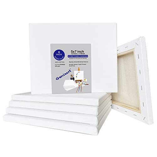 Genixart White Blank Stretched Canvas, Primed Professional Artist Canvases for Acrylics & Oils Painting (13x18cm / 5"x7" (6Pack)) - Image 2