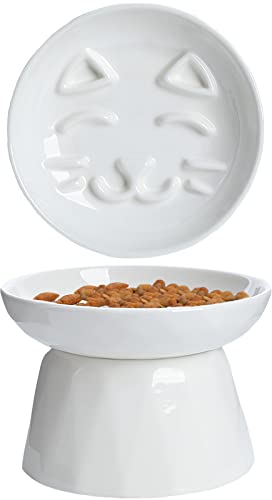 slow feed cat bowls