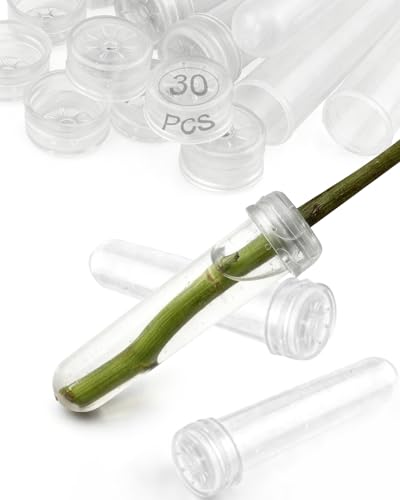 Geuoaoa 30 Pack Floral Water Tubes with Caps 3.7 Single Flower Water Tube 23ml Plastic Vials for Milkweed Plant Bouquet Accessories Florist Supplies