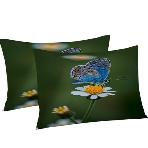 Housse de couette 200x200 microfibre imprimé papillon avec zip