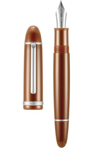 Stylo-plume cadeau papeterie élégant avec pointe fine 0.5 mm