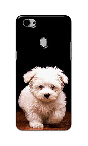 Image of PRINTFIDAA� Printed Hard Back Cover Case for Oppo F7 Back Cover (Puppy Dog) -2808
