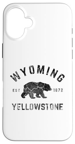 �C�G���[�X�g�[���������� �X�}�z�P�[�X iPhone 16 Plus �p