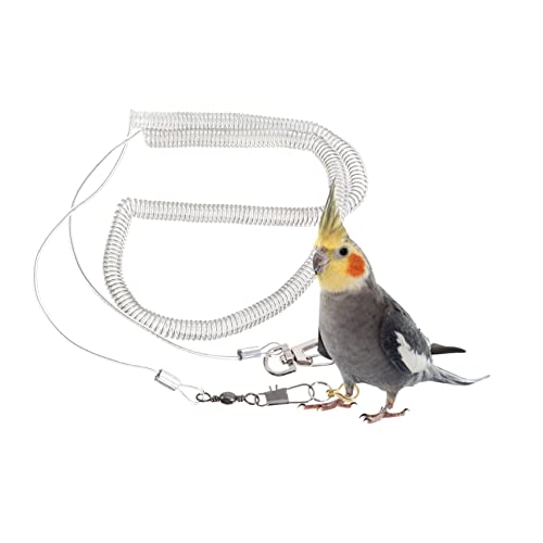 BESPORTBLE Corda Voadora De Papagaio Arnês De Plástico Para Pássaros Arnês Para Animais De Estimação