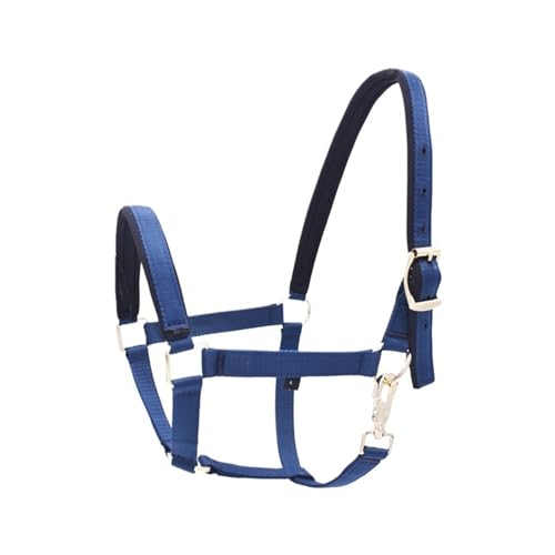 Licol pour chevaux en nylon supérieur bleu L 140-160cm finitions acier