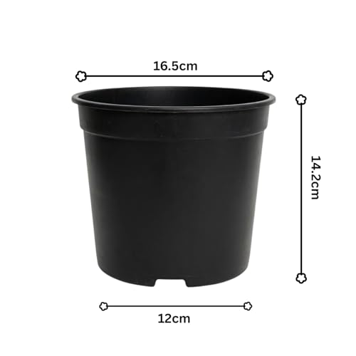 Image of 6 Inch Heavy Duty Plastic Planter | Grower Pot /Garden Pot for Home & Garden (Black) (Pack of 12)