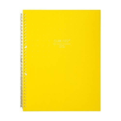 リヒトラブ クリヤーブック 交換式 A4 30穴 10枚ポケット CUBE FIZZ イエロー 不透明 N6482-5