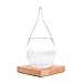 GGPOWER Storm Glass Water Drops Weather Forecast Bottle Storm Bottle Meteorological Display Bottle Creative Glass Crafts Home Decoration (Large)