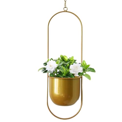 Planificación del techo, maceta de planta de techo | Macetas de plantas de interior reparadas | Jardinera de flores de clorofitu de metal para interior exterior y adorno de jardín decoradas