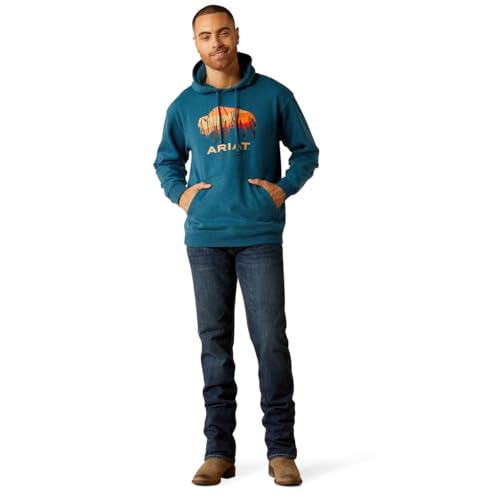 ARIAT Men's Bison Plains Hoodie3
