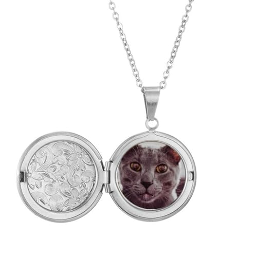 Collier médaillon photo chat gris grand œil pendentif vintage