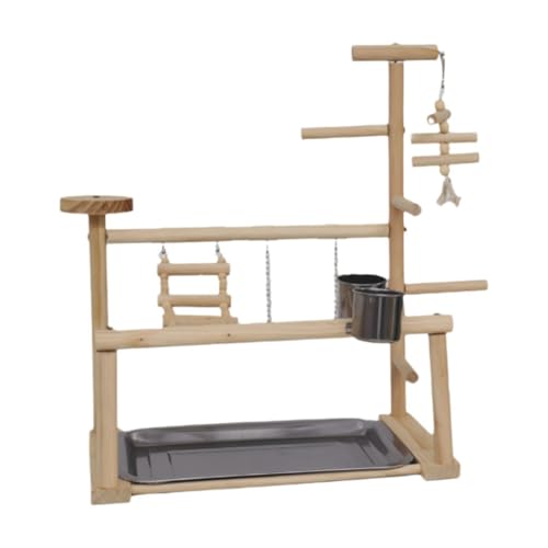 Perchoir en bois pour perruches calopsittes inséparables aire de jeux