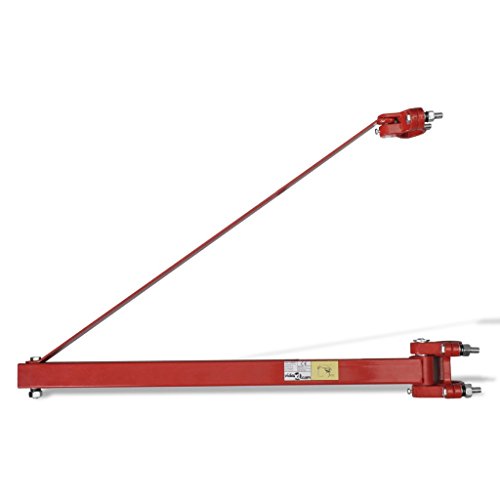 Festnight Potence pour Palan Électrique en Acier 600kg avec 1 Boom