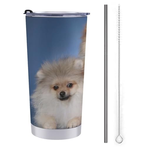 |jA 킢   ԗpRbv ԗp^u[  ԃJbv }OJbv ۉۗ XeX _CNg^Cv R[q[Jbv J[pi RrjJbv t^t 600ml Ԓ