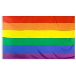 Mittlere Regenbogenflagge, LGBTQIA2s+ Pride-Flaggen, Outdoor- und Indoor-Zubehör für Pride-Monat, Karneval, Festivals, Gartenparty, Lesbisch, Schwul, Bi, Trans 5ft x 3ft – Von TRIXES