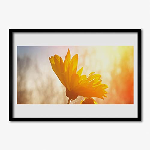Photo Cadre en MDF Tournesol Affiche Encadrée 70x50 cm pour Cadre Image Murale