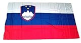 Fahne Stockflagge Slowenien NEU 30 x 45 cm Flagge