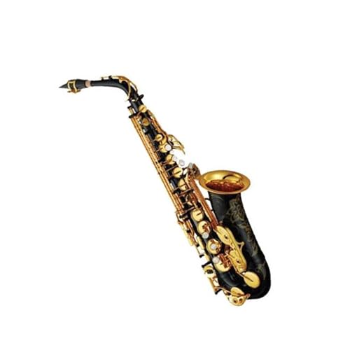 vtFbVi؊ǃTbNX AgTbNXP[Xƕtit(Black)