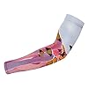 Flamingos Feesten Uv Zonbescherming Arm Mouwen Koeling Sport Compressie Mouwen