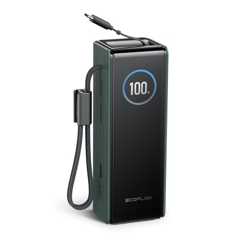 EF ECOFLOW Rapid Power Bank, 25,000mAh, 170W, 100W Built-in and R...