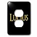 3dRose Lucius popular baby boy name in America. Yellow on... - Light Switch Covers (lsp-376762-6)