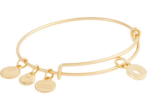 Image of Alex and Ani Expandable Bangle for Women, Initials A to Z Letter Charms, Shiny Finish, 2 to 3.5 in