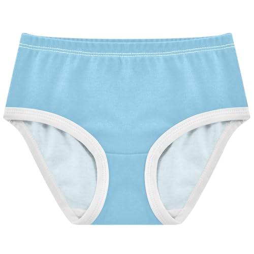 Joisal Sky Blue Cute Toddler Girls Underwear 2t Cotton Girl Panties Cute Animals Kids Undies Briefs
