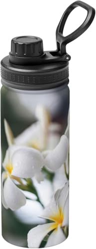 vẢ ^fM XeX d\ ۉ ۗ ԍڃJbv g 530ml  ^ Rɂ 􂢂₷ ʋ ԗp v[g
