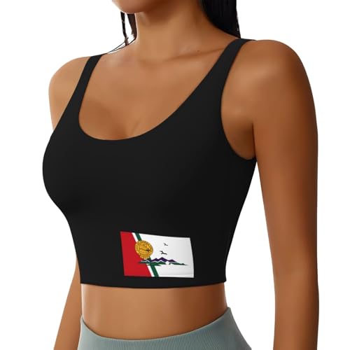 Flag of Sierra Vista, Arizona Sports Bras Yoga Gym Stretch