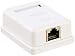 Produktbild Delock 133074 Netzwerk Dose 1xRJ45 LSA werkzeugfrei Cat.6 86169 Weiß Dose 1x RJ 45