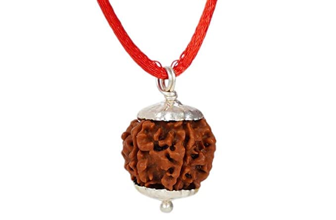 Trinetra Gems Nepali 6 Mukhi Rudraksha with Pure Silver Capping Premium Six Face Rudraksha Original Certified by IGL Chah Mukhi Rudraksha for Men & Women छः मुखी रुद्राक्ष Tula Rashi Rudraksha-image-17