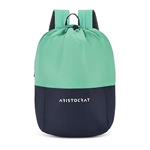 Aristrocrat 15 ltrs (41 Cms) backpack(BPDRPKETEL_teal)