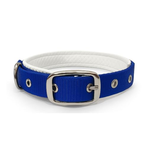 Image of Dog Collar with Padding | 01 Inch Width | Nylon Padded Collar | Easy to Clean | Best for Activities Like Walking, Training, Running and More (Blue)