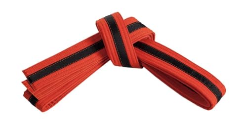 Mastery Leadership (orange belt/Black stripe, 3)