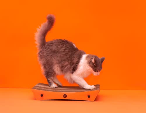 Gatomoderno Arranhador para Gatos de Papelão Kraft, Cama para Gatos, Brinquedo para Gatos, Modelo Br