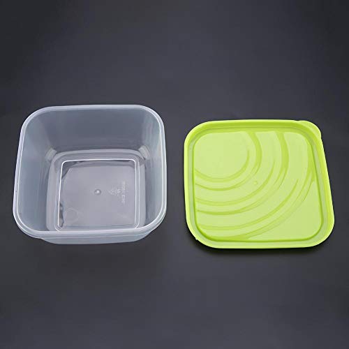 Kit de cultivo de grama de gato Bandeja de plantador de sementes Grande capacidade de cultivador de