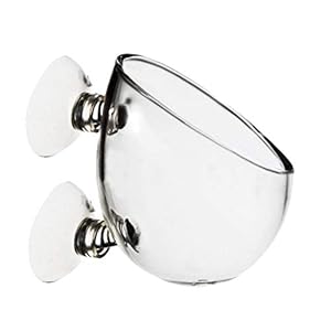 quanjucheer – Soporte de Pared para Acuario o pecera, Cristal Transparente