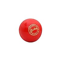 SS Gutsy Cricket Balls | Pack of 2 Balls | Color: Multicolor | for Men & Boys | Material: Synthetic | Ideal for Practice | Bounce and Hardness Similar Regular Cricket Ball