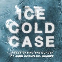 Couverture de Ice Cold Case
