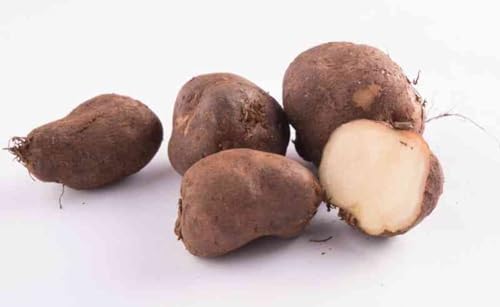FreshtoHome | Potato Chinese / Koorkan Root | 500g (China)