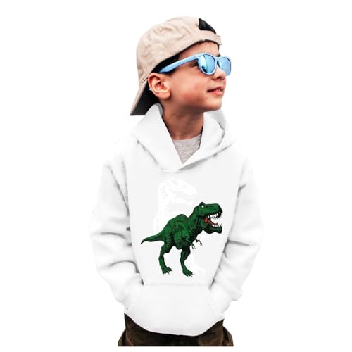 Pull à manches longues dinosaure garçon sweat-shirt décontracté col rond