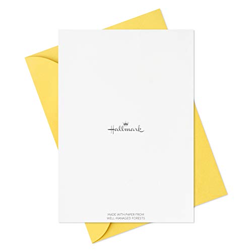 Hallmark Cartões de agradecimento, cores primárias (48 notas de agradecimento para crianças e adulto